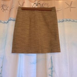 Ann Taylor Skirt